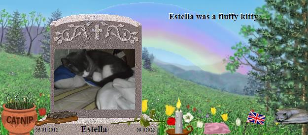 Estella's Rainbow Bridge Pet Loss Memorial Residency Image