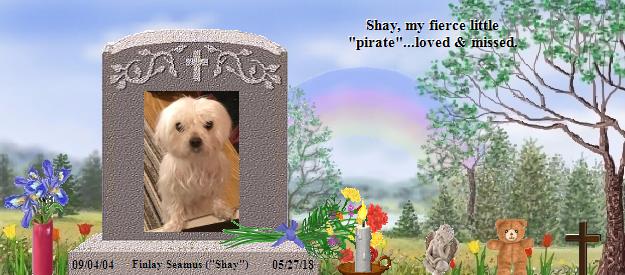 Finlay Seamus ("Shay")'s Rainbow Bridge Pet Loss Memorial Residency Image