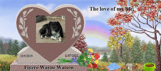 Fiyero Wayne Watson's Rainbow Bridge Pet Loss Memorial Residency Image