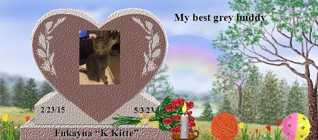 Fukayna “K Kitte”'s Rainbow Bridge Pet Loss Memorial Residency Image