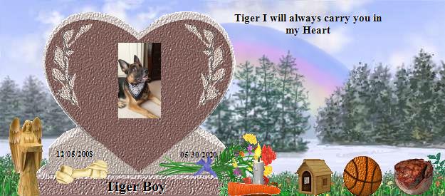Tiger Boy's Rainbow Bridge Pet Loss Memorial Residency Image